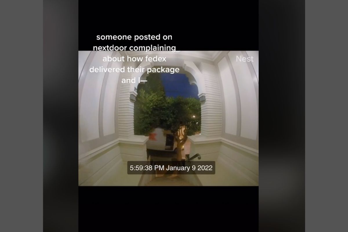 FedEx Delivery TikTok
