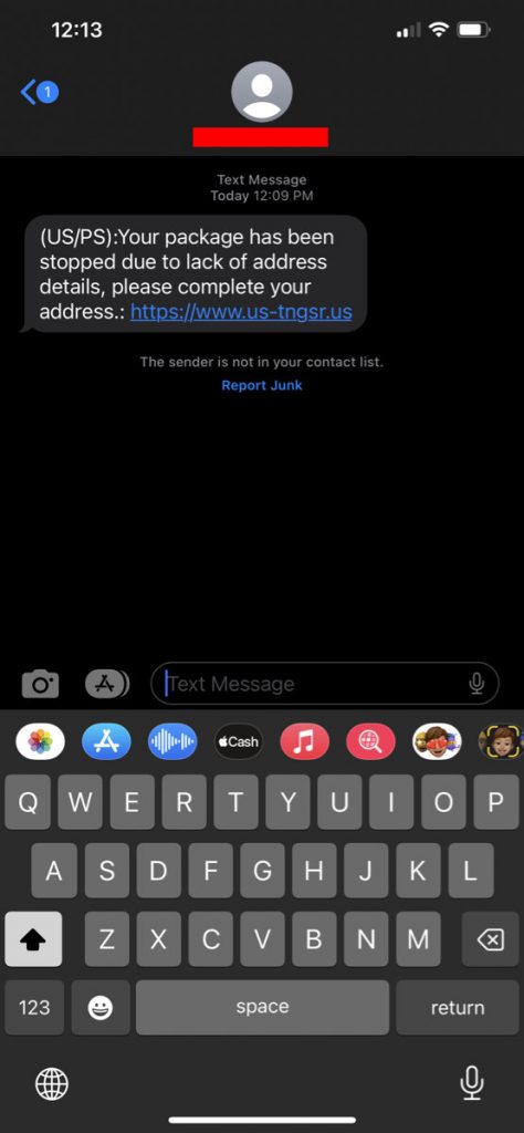 Text Scam, Message Screen